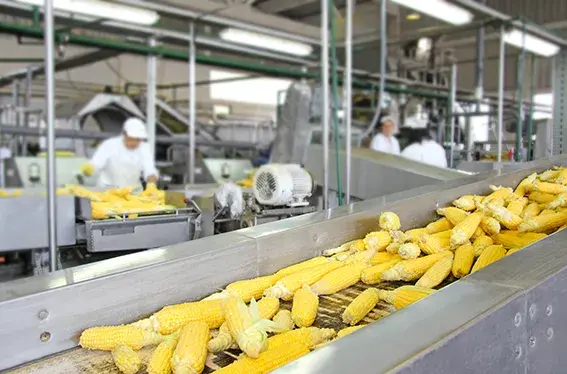 CWS WW Food Industry Vegetables