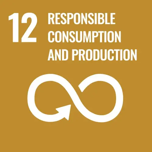 Sustainability Responsible Consumption and Production